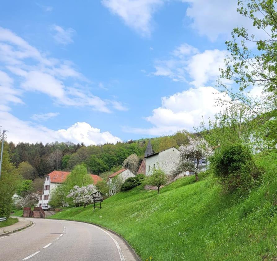 Family House Apartment Eberbach  Bagian luar foto