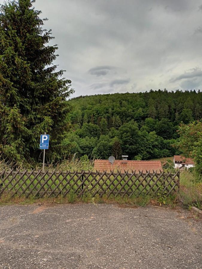Family House Apartment Eberbach  Bagian luar foto